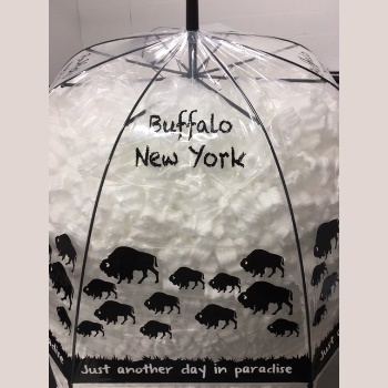 Buffalo Dome Umbrella